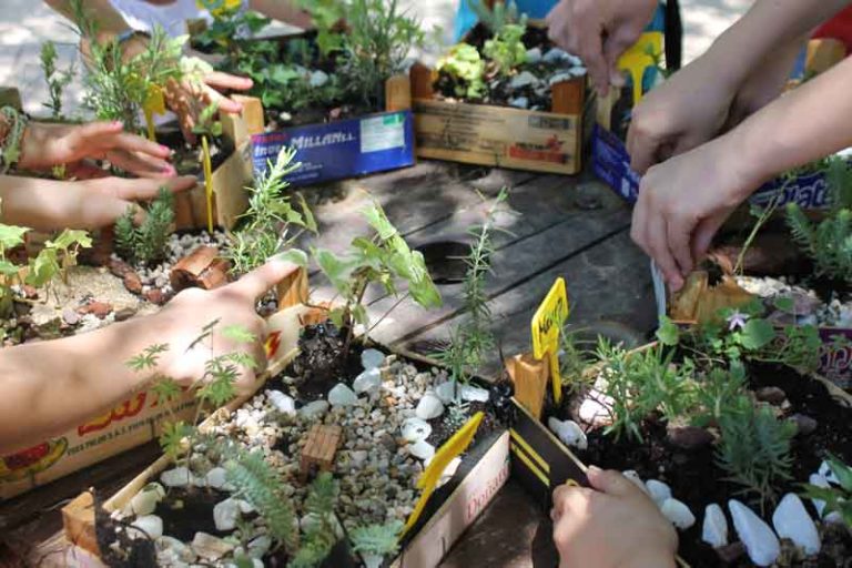 Aulas de naturaleza en Pozuelo