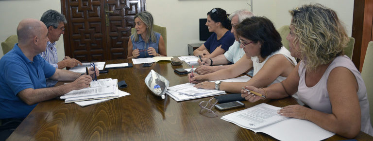 Junta de Gobierno local de Toledo