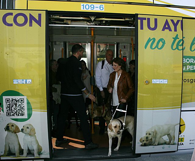 Usuaria de perro guía en metro ligero de Boadilla