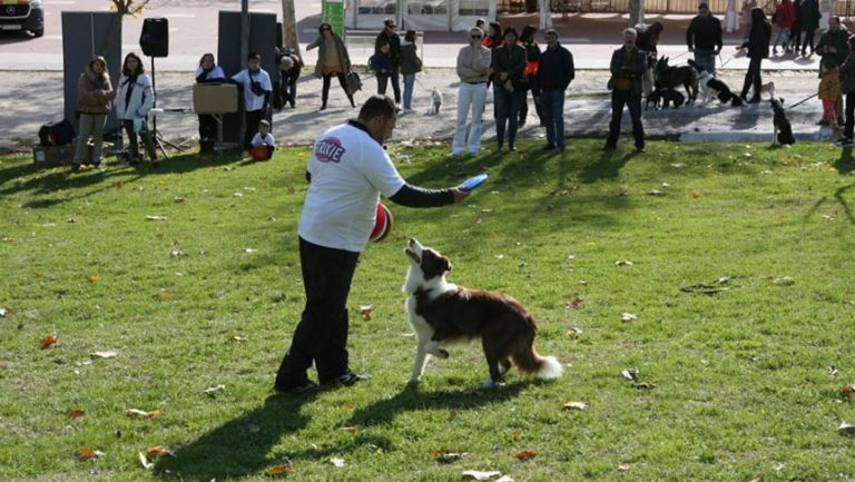 Cientos de tricantinos participan en la 7ª Feria Solidaria de Mascotas celebrada en Tres Cantos