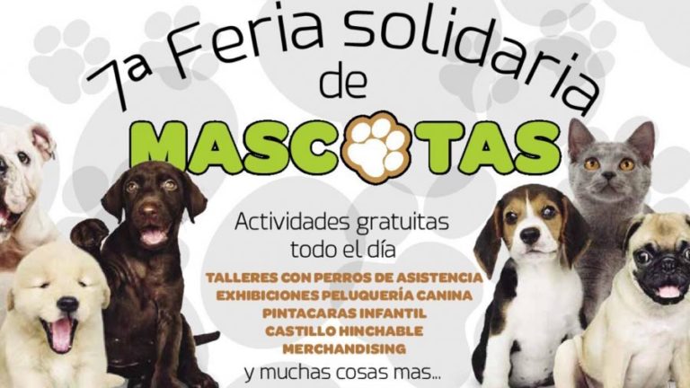 La 7ª Feria Solidaria de Mascotas de Tres Cantos conciencia sobre la tenencia responsable de animales