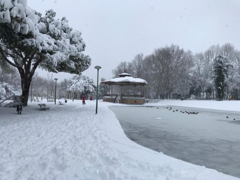 ÚLTIMA HORA I Pozuelo comienza a retomar su actividad