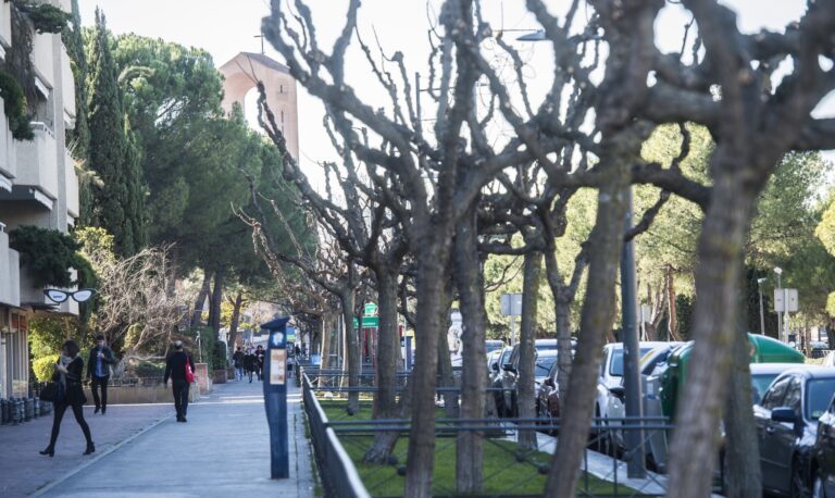 Pozuelo recogerá los restos de poda en los accesos a las viviendas