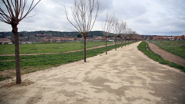 La Senda de las Moreras de la Vega Baja, seleccionada en la XI Bienal Internacional de Paisaje de Barcelona