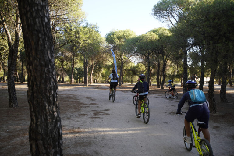 Las Rozas retoma las actividades deportivas en el exterior