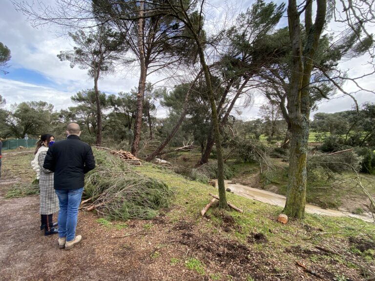 Reabren todos los accesos del Monte del Pilar