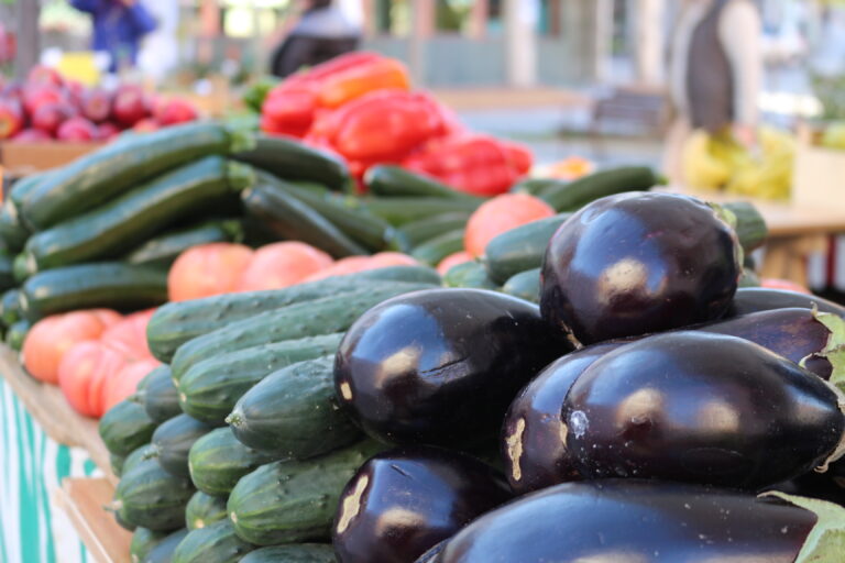 Las Rozas celebra la Feria Verde el sábado 13 de marzo