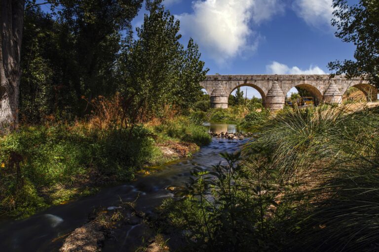 Las Rozas recibe el reconocimiento de la FAO por su gestión sostenible