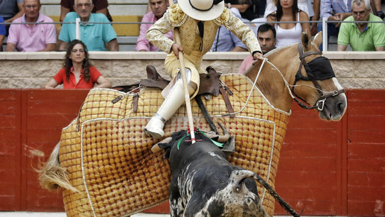 Ya se conocen las ganaderías que estarán presentes en el XXI Certamen de Novilladas Alfarero de Oro de Villaseca de la Sagra