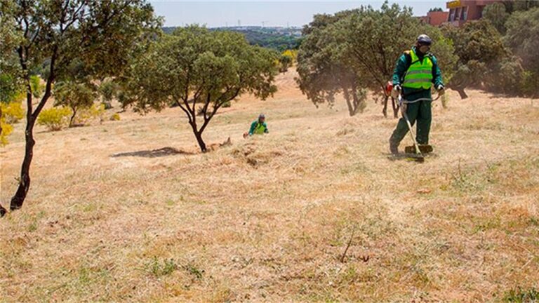 Majadahonda inicia la campaña de desbroce de solares