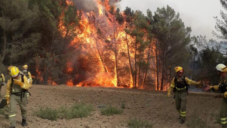 Numerosos efectivos tratan de extinguir un incendio que fue declararado Nivel 1 en Carranque