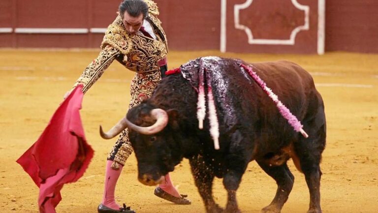 La plaza de toros de Cerceda acogerá hasta el 6 de agosto cuatro espectáculos taurinos