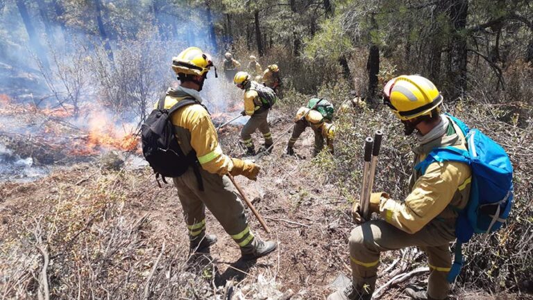 Estabilizado el incendio de Navalacruz que habría afectado ya a más de 20.000 hectáreas