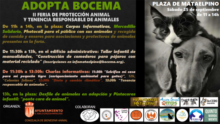 Mataelpino acoge la II Feria de Protección animal y Tenencia Responsable de Animales