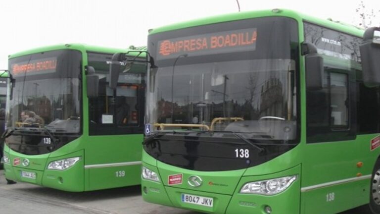 El Pleno se compromete a estudiar un bus directo a Las Retamas