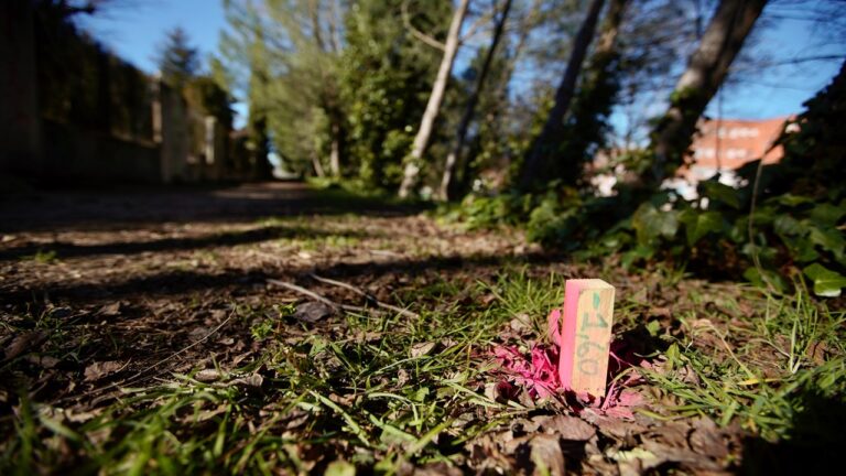 Las obras de reonovación de los colectores de Villarozas comenzarán a final de enero