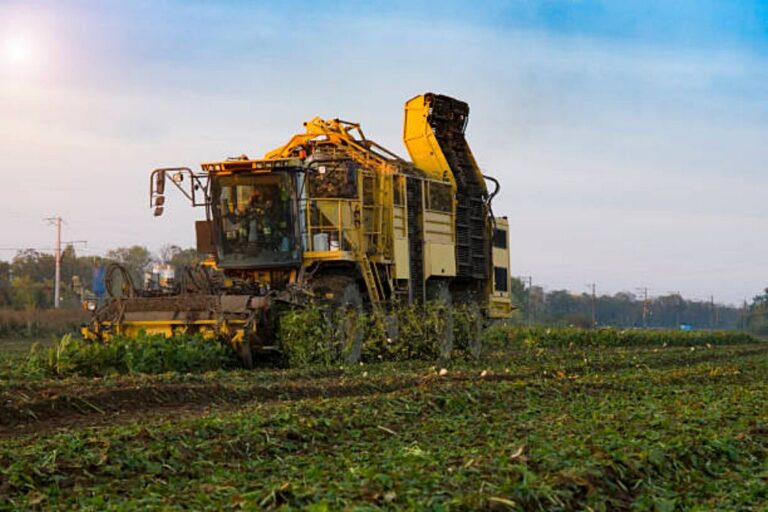 UPA reclama un apoyo para las explotaciones agrícolas de riego