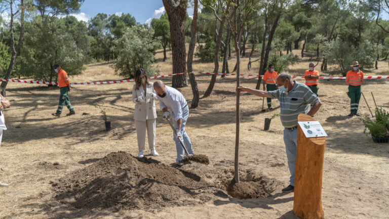 La FAO premia a Majadahonda por su labor medioambiental