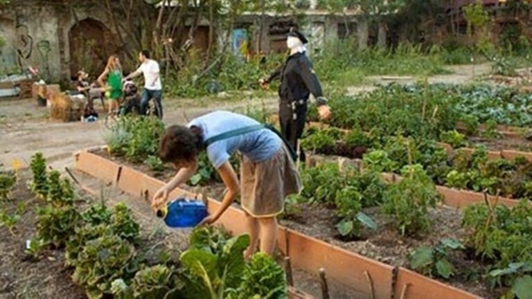 Las Rozas apuesta por los huertos urbanos municipales