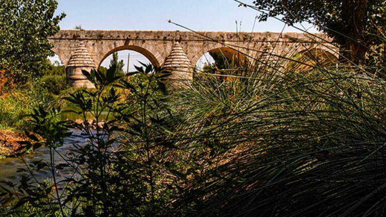 Las Rozas aprueba un proyecto fluvial para mejorar la gestión de sus aguas