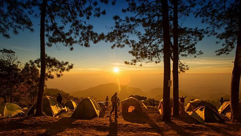 La Concejalía de Juventud de Boadilla del Monte abre inscripciones para cinco campamentos este verano