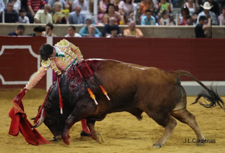 Encierros típicos y tradicionales en la Pamplona Toledana de Villaseca de la Sagra