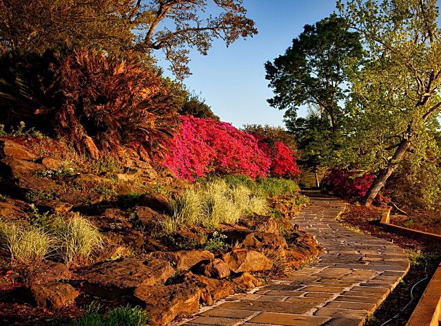 El cuidado del jardín en otoño: consejos esenciales