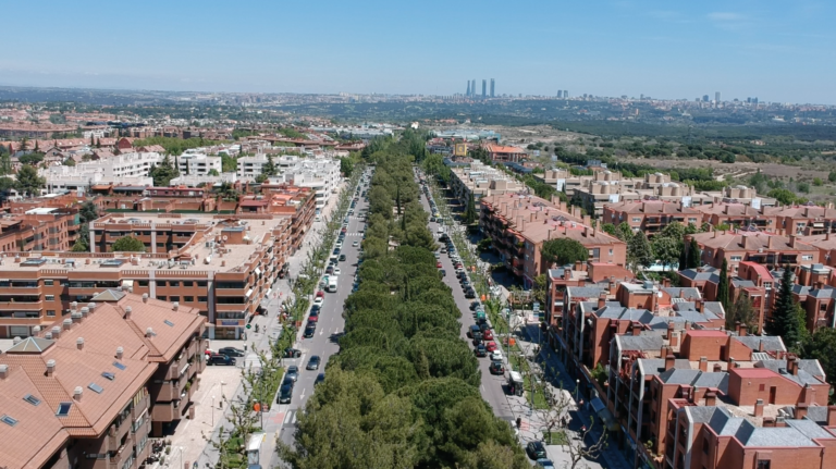 Medidas preventivas en Pozuelo de Alarcón por riesgo de caída de árboles