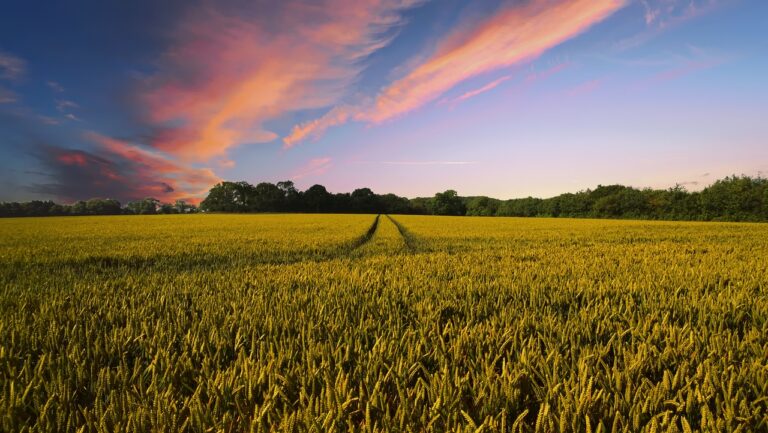 Tres fincas agrícolas de Ávila participarán en el plan CULTIVA del MAPA para promover la agricultura sostenible