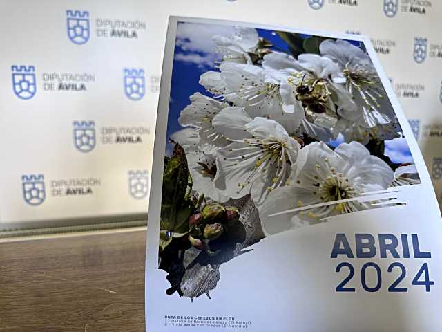 Publicado el calendario de la Diputación de Ávila para el año 2024 con el título ‘Trazos de la provincia’