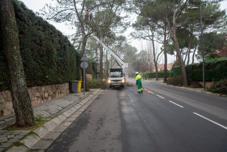 Ayuntamiento de Boadilla del Monte realiza plan anual de poda en diferentes áreas del municipio