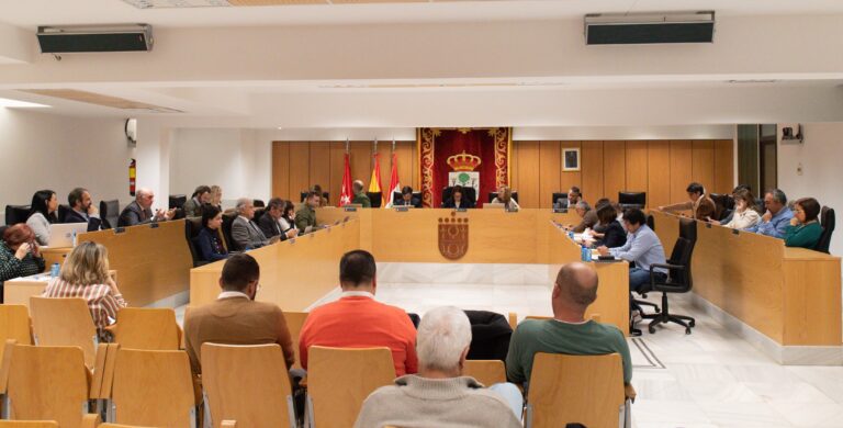 Pleno celebrado en San Sebastián de los Reyes en este mes de enero