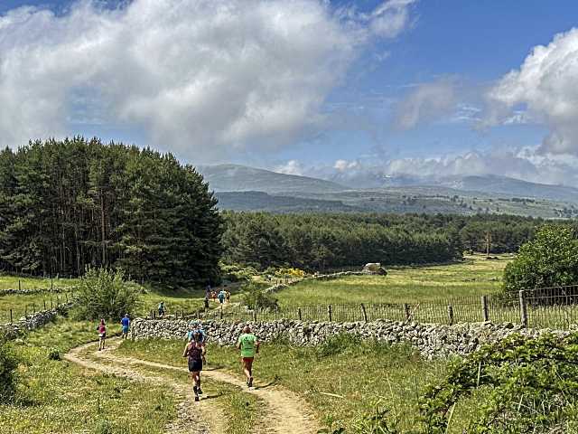 Récord de participación en la media maratón por la Naturaleza en Hoyos del Espino