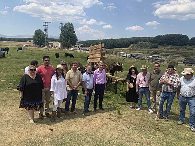 Delegado territorial y autoridades locales presentes en la feria de ganado de Navarredonda de Gredos