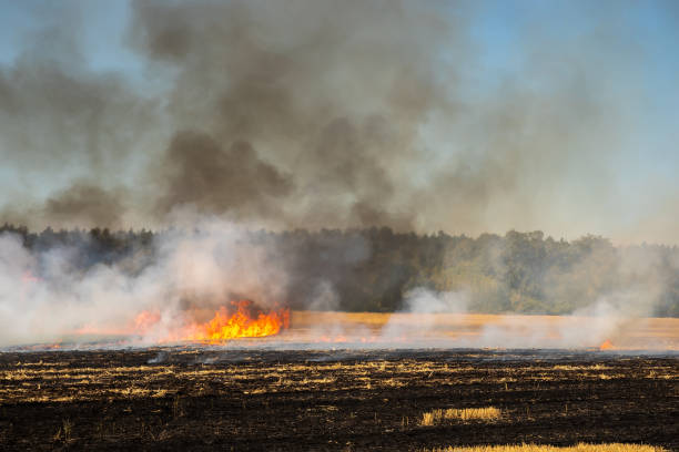 Ola de calor en Castilla y León, medidas de precaución ante el riesgo de fuegos