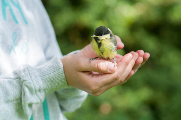 Talleres familiares gratuitos sobre la naturaleza en el Centro Medioambiental San Nicolás