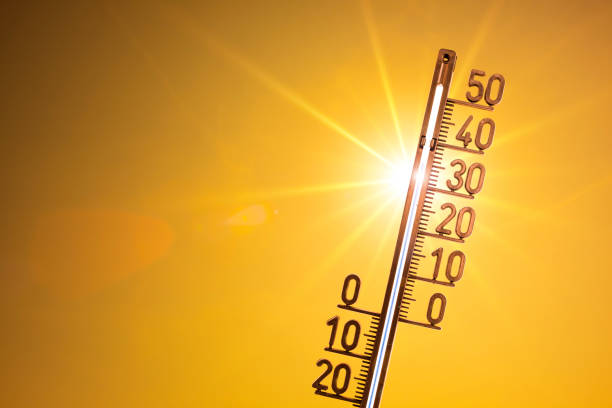 Preocupación por ola de calor en Castilla y León, temperaturas superarán los 40ºC