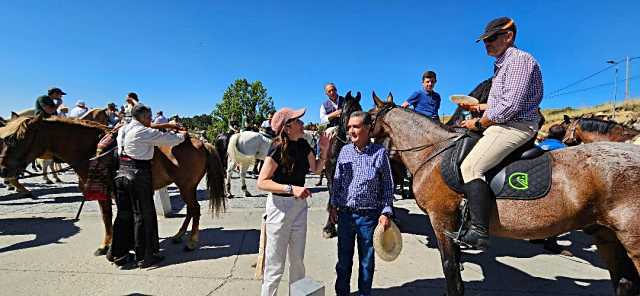 Más de 160 caballos visitaron las calles de Ávila en la XI Ruta Ecuestre Turístico Cultural.