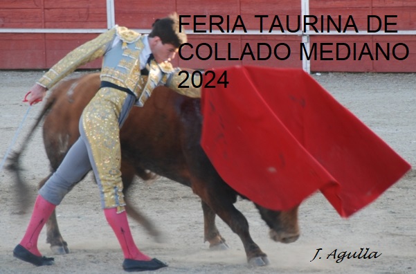 ÉXITO DE LA FERIA TAURINA DE COLLADO MEDIANO (MADRID)