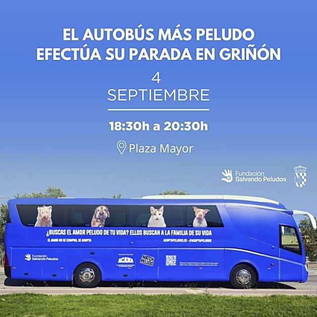 El ‘autobús más peludo’ llega a Torrejón de la Calzada el 3 de septiembre y a Griñón el 4