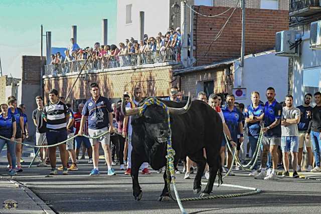 Yuncos celebra sus fiestas en Honor a Nuestra Señora del Consuelo del 6 al 15 de septiembre