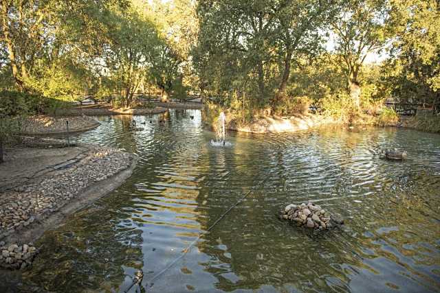 Ayuntamiento de Boadilla del Monte mejora estanque de los patos