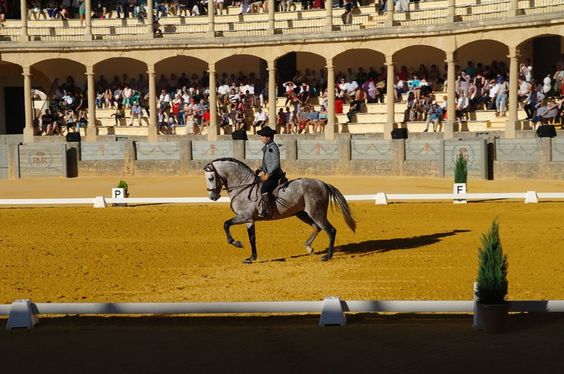 Plaza de toros de Boadilla del Monte se transforma en escenario de Ítaca