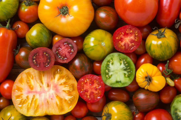 Celebración del Mercado de Tomates y productos del campo en Las Rozas