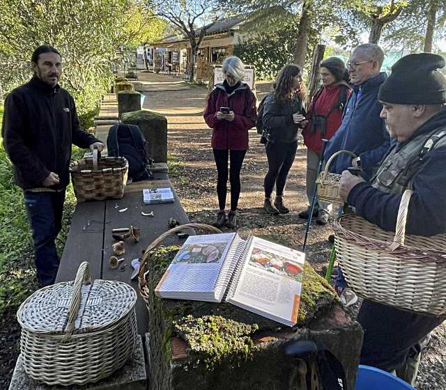 Ávila celebra la XXV edición de ‘Descubre los hongos’, una iniciativa que promueve la ciencia y la ecología