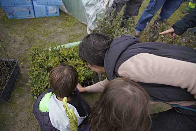 Las Rozas organiza una ‘Gran Plantación Familiar’ para conectar con la naturaleza y cuidar el medio ambiente