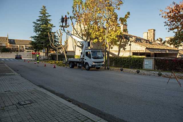 El Ayuntamiento de Boadilla del Monte inicia su plan anual de poda