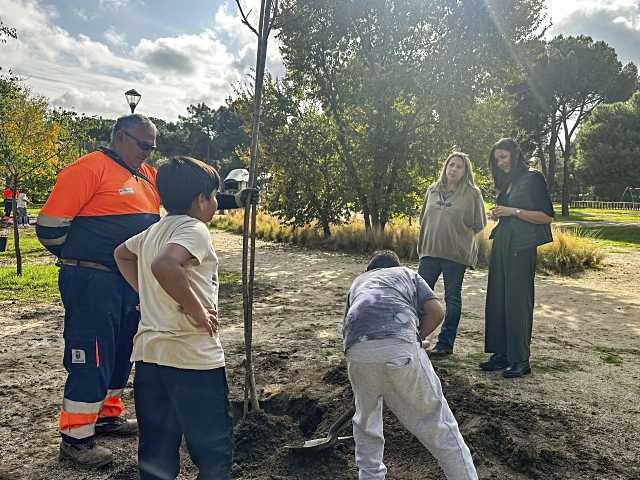 Estudiantes de 5º grado plantan árboles en el Parque Cerro del Aire de Majadahonda