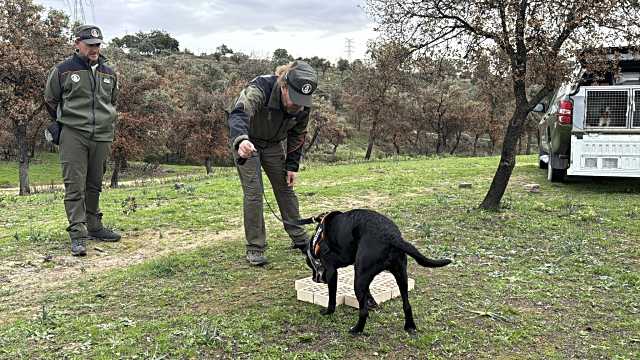 La Comunidad de Madrid contará con perros especializados para investigar incendios