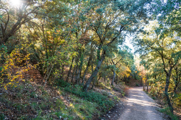 Ávila ofrecerá exploraciones de espacios verdes el 30 de noviembre y 1 de diciembre